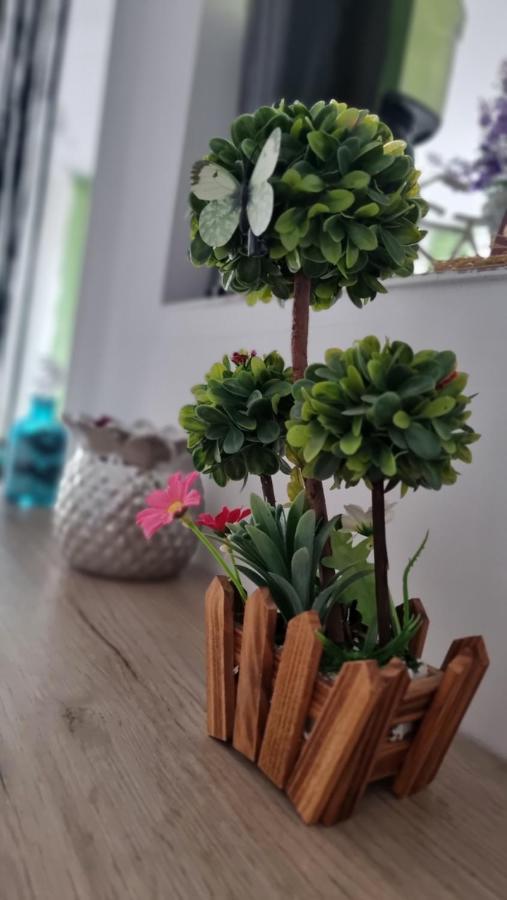 Apartament Daria Năvodari Εξωτερικό φωτογραφία